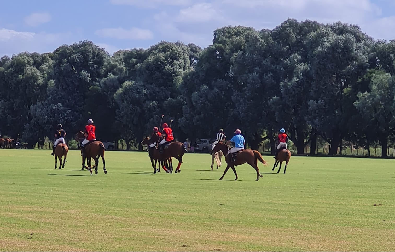 “LOS TECHOS” GANO EL TORNEO DE POLO JUGADO ESTE FIN DE SEMANA